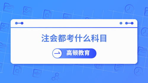 注冊會計師考試科目解析 兩個階段與七科體系及其在社會經濟咨詢服務中的應用