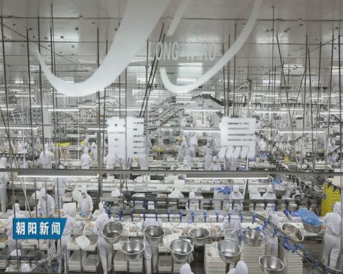 扛起新擔當展現新作為 全力推進朝陽經濟社會實現高質量發展